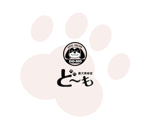 愛犬美容室ど~も|徳島県阿南市にある犬の美容室・トリミングサロン