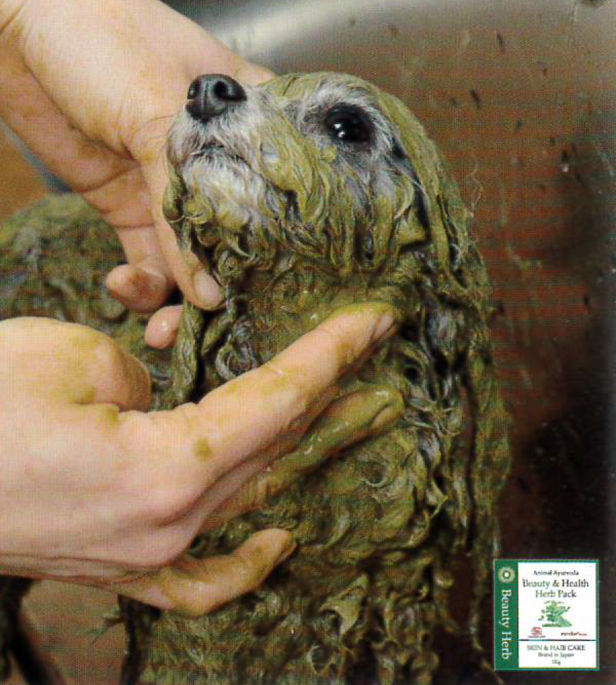 ビューティー＆ヘルスハーブパック