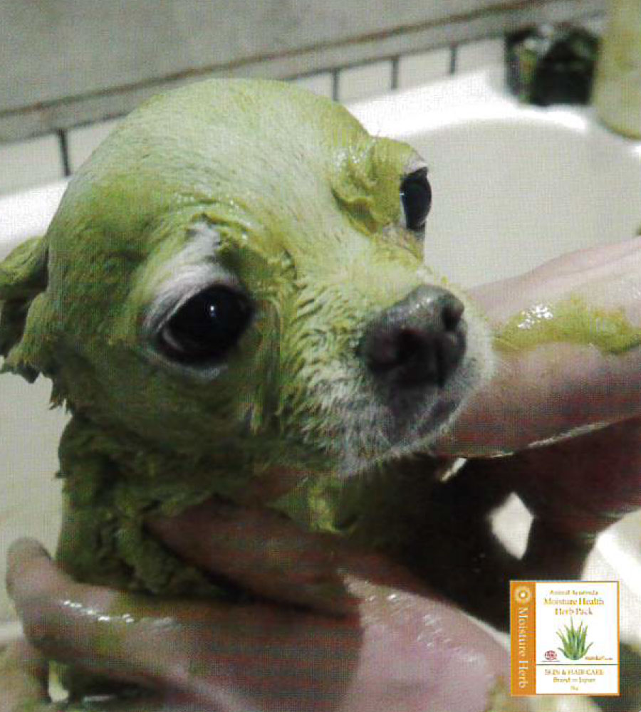 モイスチャーヘルスハーブパック