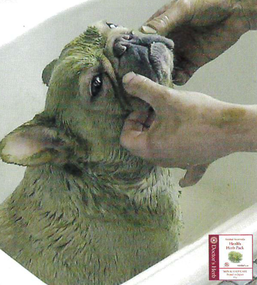 ドクターズヘルスハーブパック