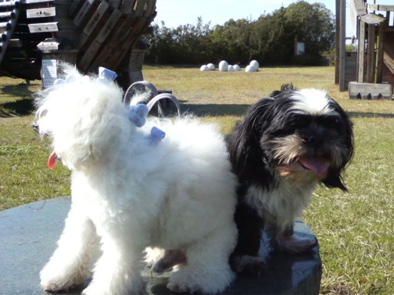 おすすめのエステメニュー